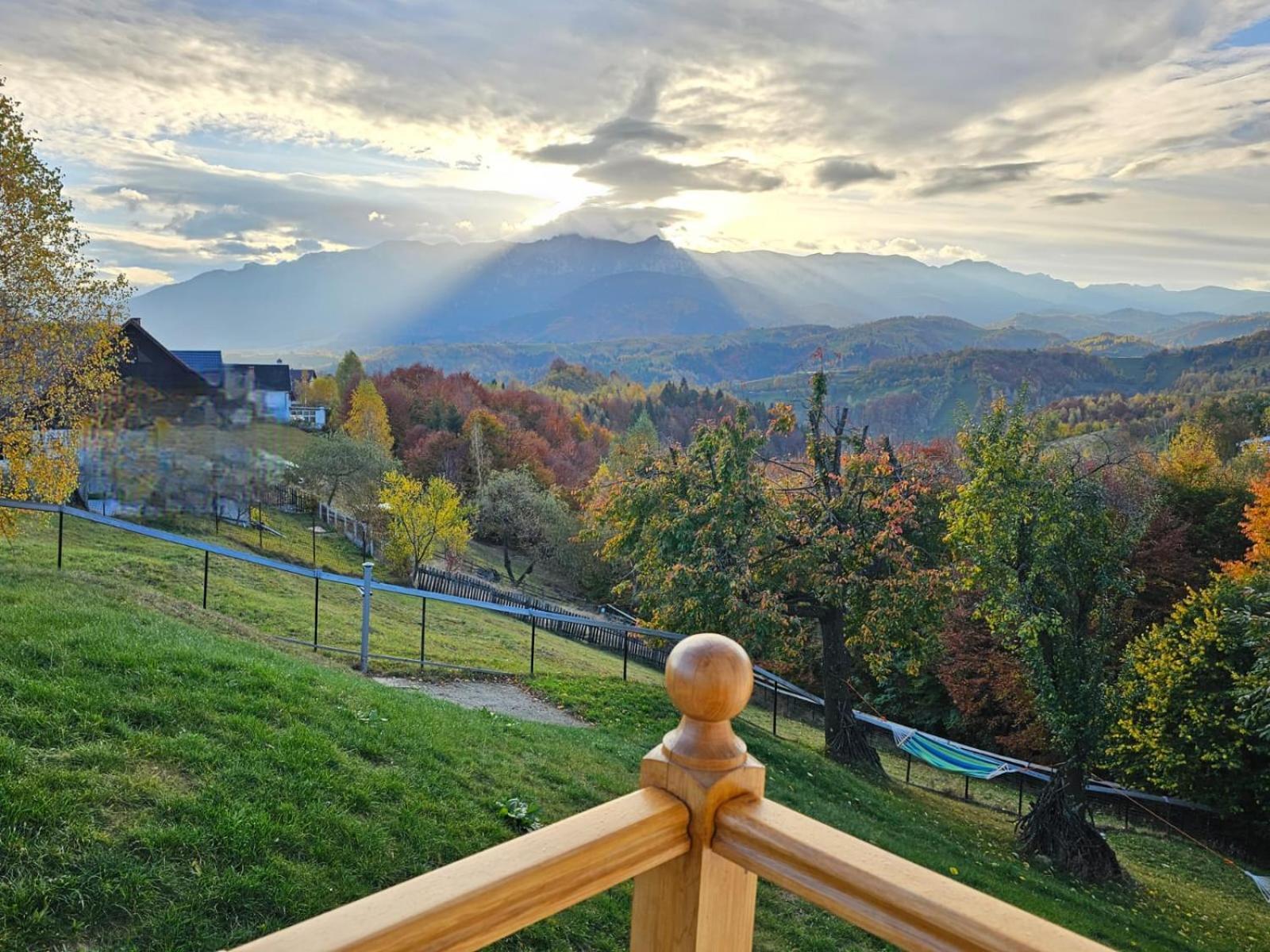 Villa Carpathia Magic -Adults Only Peştera Exterior foto